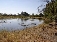 Moremi NP